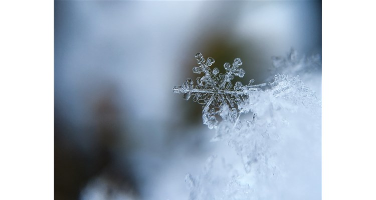 降溫了，這份健康指南，請轉(zhuǎn)給你關(guān)心的人！